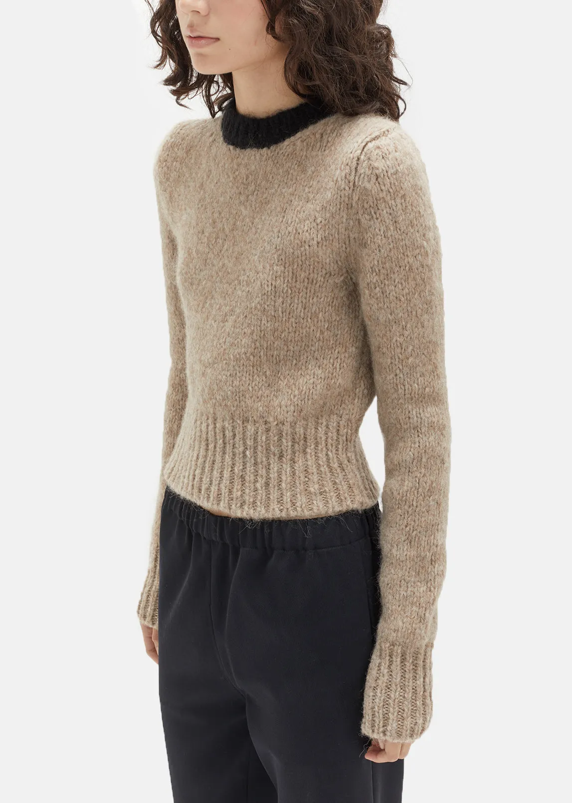 Alpaca Crewneck Sweater